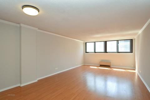 30 E Division St #12E, Chicago, IL 60610 photo 2
