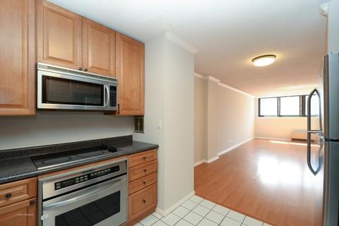 30 E Division St #12E, Chicago, IL 60610 photo 5