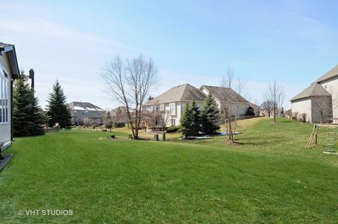26506 Silverleaf Dr, Plainfield, IL 60585 photo 25