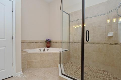 26506 Silverleaf Dr, Plainfield, IL 60585 photo 14