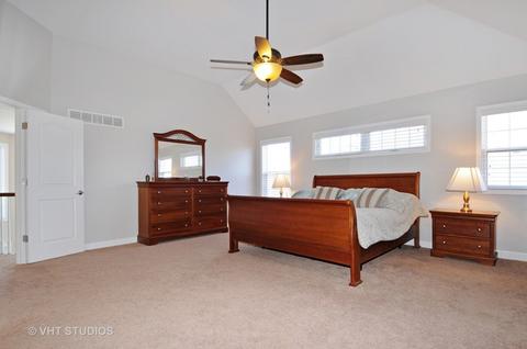 26506 Silverleaf Dr, Plainfield, IL 60585 photo 12