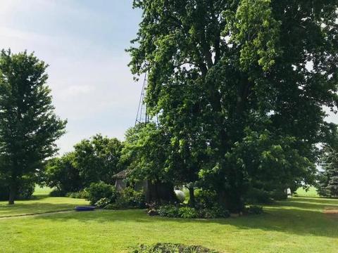 16138 E 3000 North Rd, Blackstone, IL 61313 photo 30