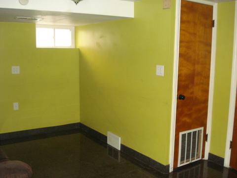 3831 W 79th Pl, Chicago, IL 60652 photo 19