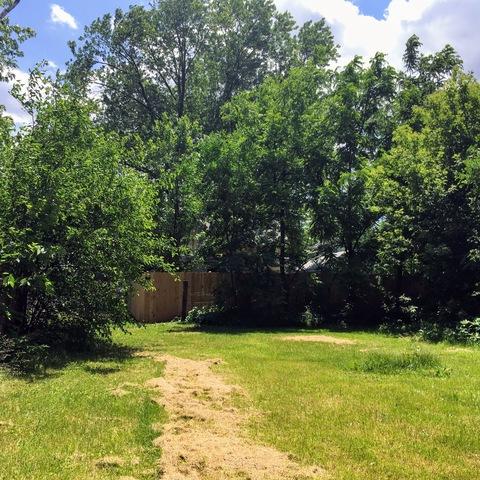 304 E Abe St, Plano, IL 60545 photo 8