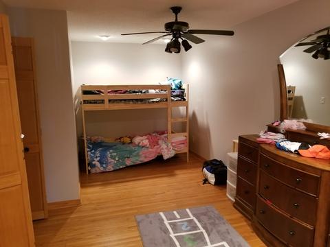 216 E Dakota St, Spring Valley, IL 61362 photo 12