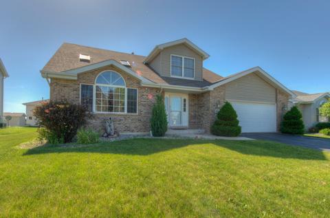 1606 Fox Hound Trl, Beecher, IL 60401 photo 1