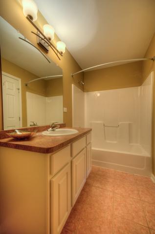 1606 Fox Hound Trl, Beecher, IL 60401 photo 17