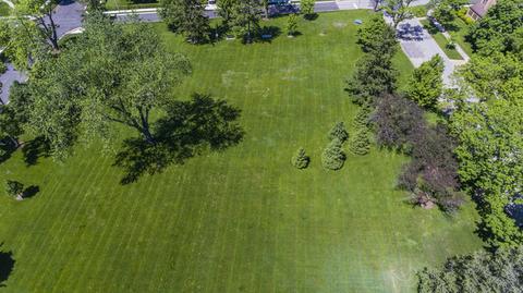 114 N Wolf Rd, Des Plaines, IL 60016 photo 78