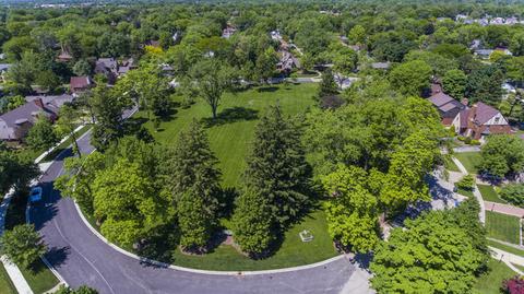 114 N Wolf Rd, Des Plaines, IL 60016 photo 76