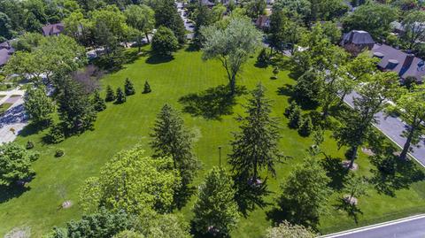 114 N Wolf Rd, Des Plaines, IL 60016 photo 72