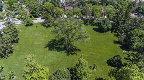 114 N Wolf Rd, Des Plaines, IL 60016 photo 73