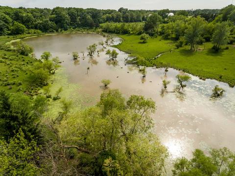 2929 E Goodenow Rd, Crete, IL 60417 photo 65