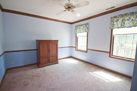 2929 E Goodenow Rd, Crete, IL 60417 photo 30