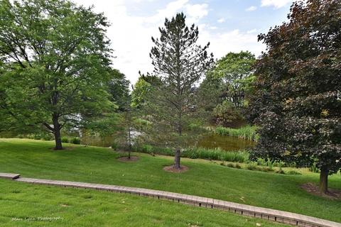 920 Adare Dr, Wheaton, IL 60189 photo 32