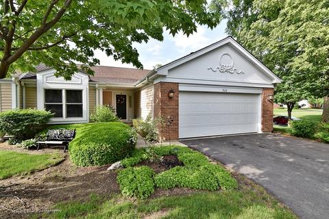 920 Adare Dr, Wheaton, IL 60189 photo 1