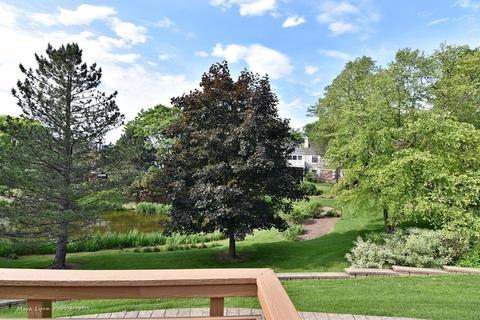 920 Adare Dr, Wheaton, IL 60189 photo 34