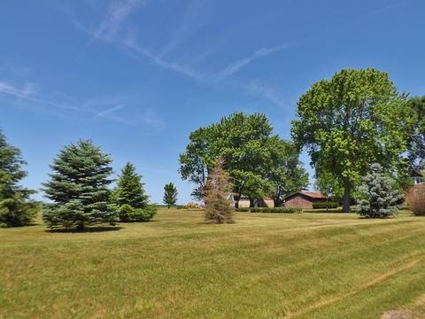 8935 S Ward Rd, Dwight, IL 60420 photo 32