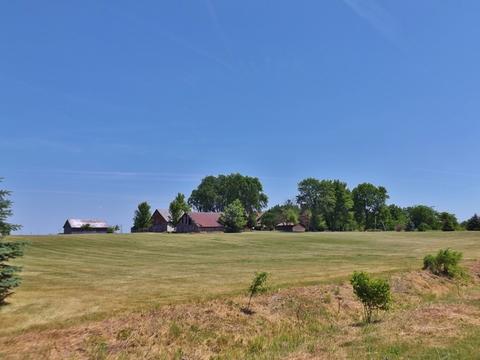 8935 S Ward Rd, Dwight, IL 60420 photo 30