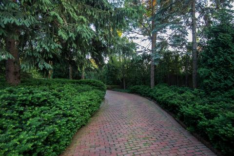 404 E Deerpath Rd, Lake Forest, IL 60045 photo 33