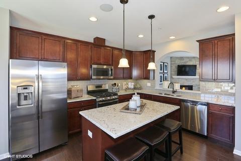 1175 Colfax Ave, Des Plaines, IL 60016 photo 3