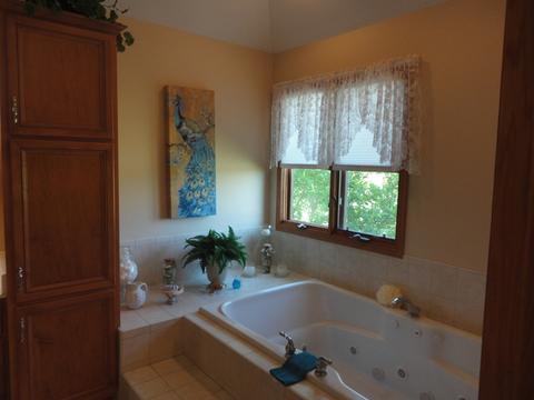 2904 E 29th Rd, Seneca, IL 61360 photo 25