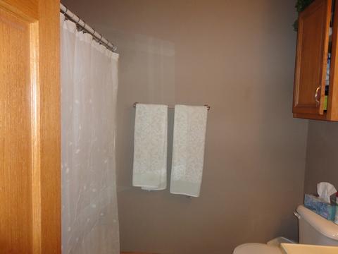 2904 E 29th Rd, Seneca, IL 61360 photo 35
