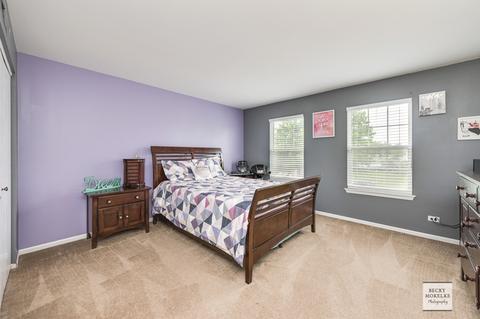 3904 Hoffman St, Plano, IL 60545 photo 18