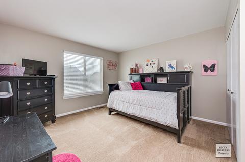 3904 Hoffman St, Plano, IL 60545 photo 15
