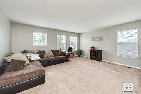3904 Hoffman St, Plano, IL 60545 photo 20