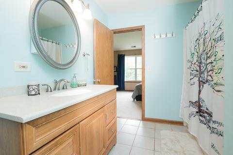 210 Partridge Ct, Algonquin, IL 60102 photo 16