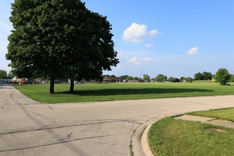 8204 S Ferdinand Ave, Bridgeview, IL 60455 photo 40