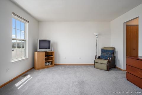 3113 Hoffman St, Plano, IL 60545 photo 21