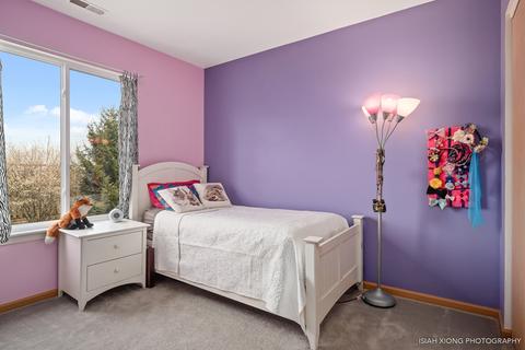 3113 Hoffman St, Plano, IL 60545 photo 14