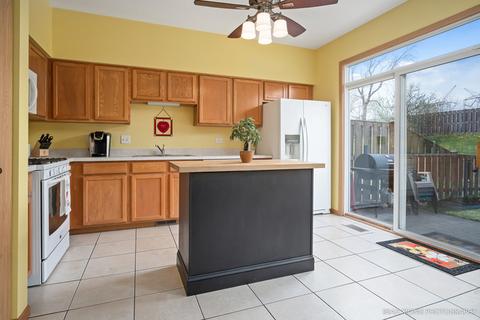 3113 Hoffman St, Plano, IL 60545 photo 9