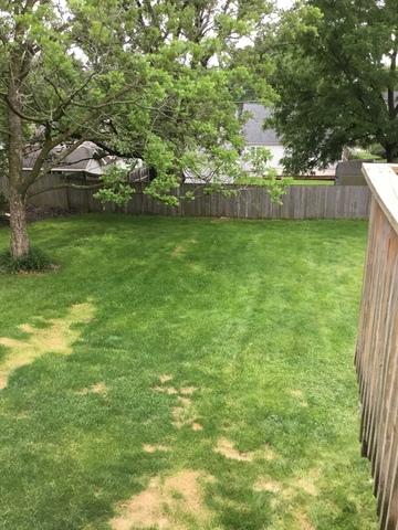 427 W Reader St, Elburn, IL 60119 photo 14
