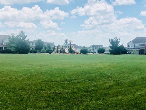 1446 Walnut Dr, West Dundee, IL 60118 photo 26