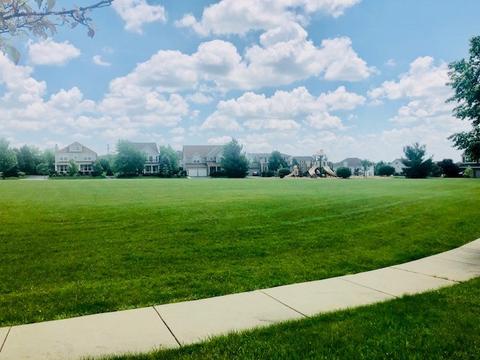 1446 Walnut Dr, West Dundee, IL 60118 photo 28