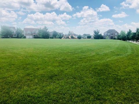 1446 Walnut Dr, West Dundee, IL 60118 photo 29