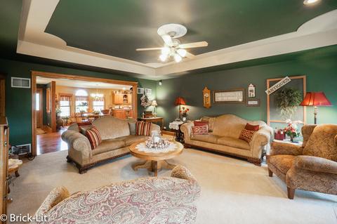11141 W Saddle Dr, Monee, IL 60449 photo 12