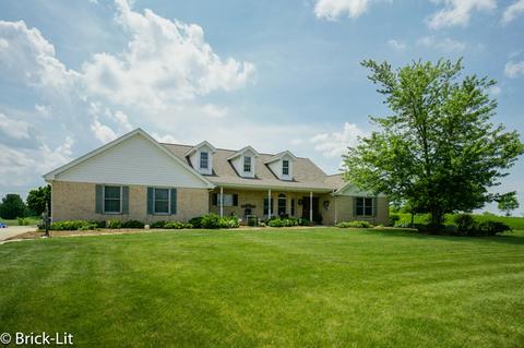 11141 W Saddle Dr, Monee, IL 60449 photo 1