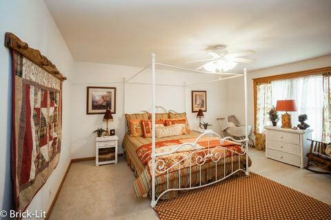 11141 W Saddle Dr, Monee, IL 60449 photo 20