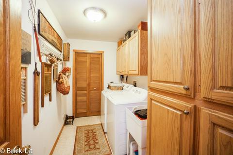 11141 W Saddle Dr, Monee, IL 60449 photo 23