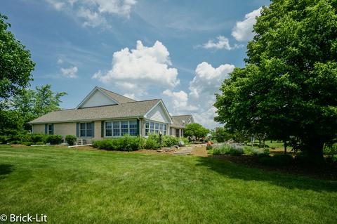 11141 W Saddle Dr, Monee, IL 60449 photo 5
