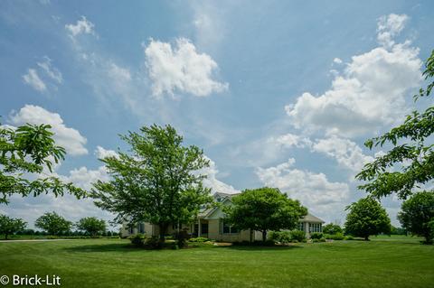 11141 W Saddle Dr, Monee, IL 60449 photo 3