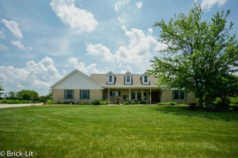 11141 W Saddle Dr, Monee, IL 60449 photo 2