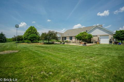 11141 W Saddle Dr, Monee, IL 60449 photo 7