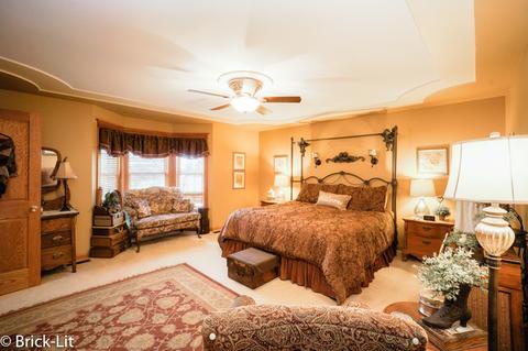 11141 W Saddle Dr, Monee, IL 60449 photo 18