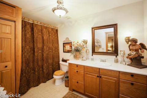 11141 W Saddle Dr, Monee, IL 60449 photo 19