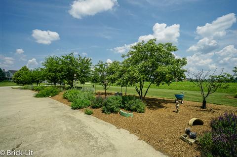 11141 W Saddle Dr, Monee, IL 60449 photo 10