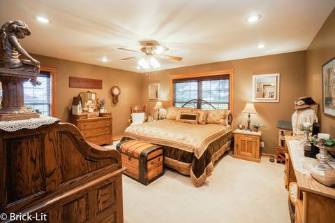 11141 W Saddle Dr, Monee, IL 60449 photo 21